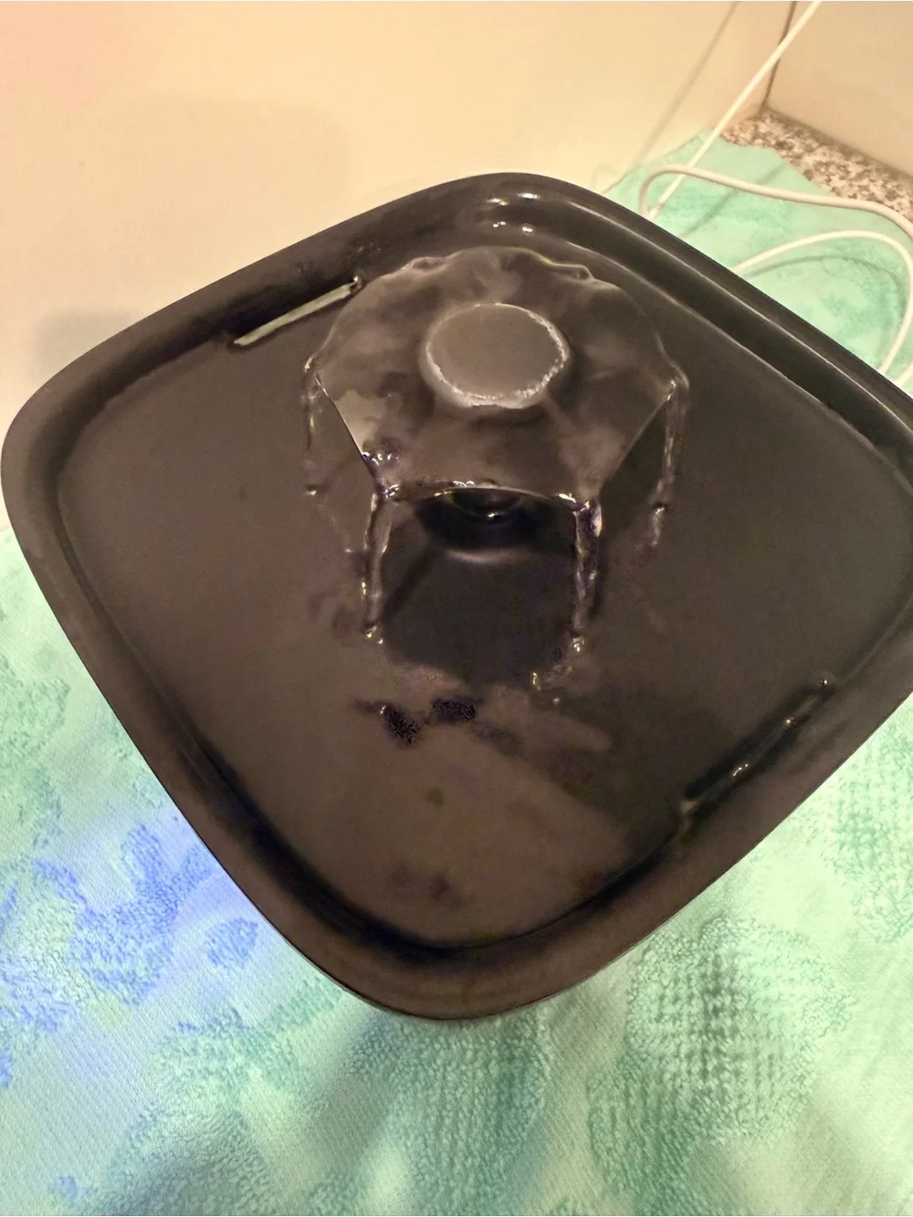 Black Pet Water Fountain - Quiet Circulating Water Dispenser